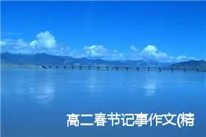 高二春节记事作文(精选5篇)