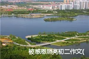 被感恩照亮初二作文(精选5篇)