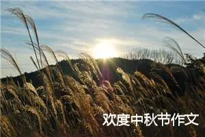 欢度中秋节作文
