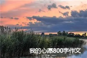 我的心愿800字作文高一(精选5篇)