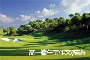 高一端午节作文(精选5篇)