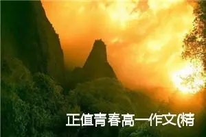 正值青春高一作文(精选5篇)