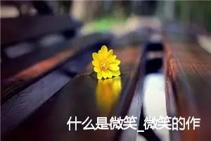 什么是微笑_微笑的作文总结(精选5篇)