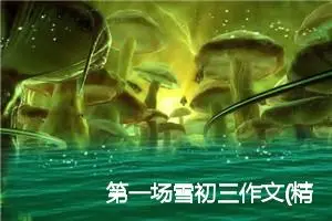 第一场雪初三作文(精选5篇)