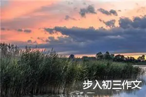 步入初三作文