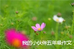 我的小伙伴五年级作文(精选5篇)