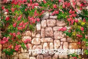 六年级作文我的梦想(精选5篇)