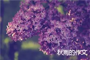 秋雨的作文