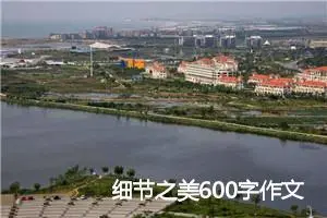 细节之美600字作文(精选5篇)
