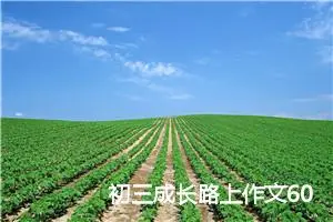 初三成长路上作文600字(精选5篇)