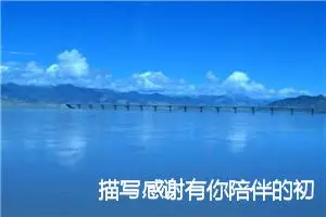 描写感谢有你陪伴的初三作文(精选5篇)