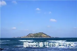 眼中的春节中学生作文600字(精选5篇)