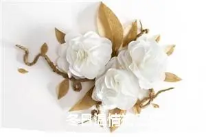 冬日温情初三作文(精选5篇)