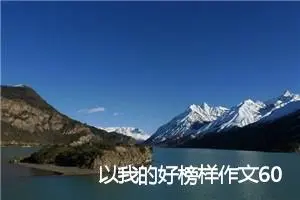 以我的好榜样作文600字(精选5篇)