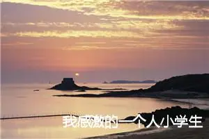 我感激的一个人小学生作文