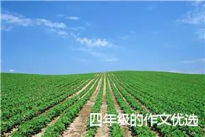 四年级的作文优选