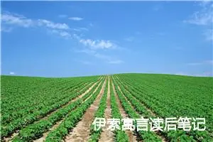 伊索寓言读后笔记