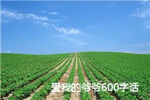 爱我的爷爷600字话题作文(精选5篇)