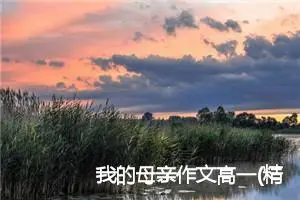 我的母亲作文高一(精选5篇)