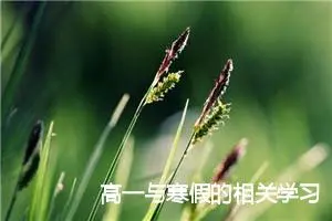 高一与寒假的相关学习作业作文(精选5篇)