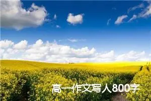 高一作文写人800字(精选8篇)