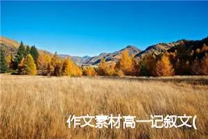 作文素材高一记叙文(精选5篇)