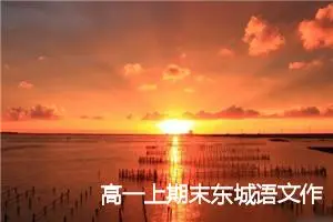 高一上期末东城语文作文(精选5篇)