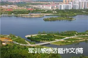 军训感想话题作文(精选5篇)
