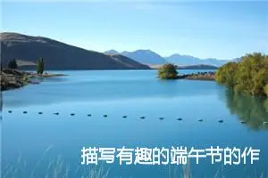 描写有趣的端午节的作文(精选5篇)