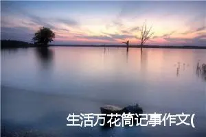 生活万花筒记事作文(精选7篇)