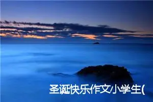 圣诞快乐作文小学生(精选5篇)