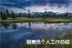 销售员个人工作总结