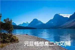 元旦畅想高二作文(精选5篇)