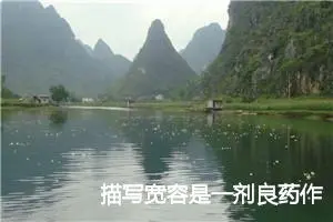 描写宽容是一剂良药作文(精选5篇)