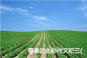 青春的色彩作文初三(精选5篇)