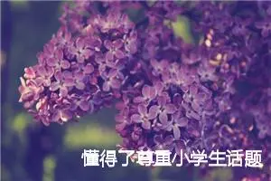 懂得了尊重小学生话题作文(精选5篇)