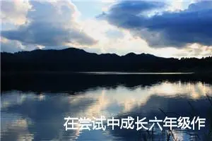 在尝试中成长六年级作文(精选5篇)
