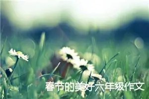 春节的美好六年级作文(精选5篇)
