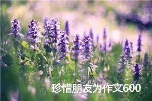 珍惜朋友为作文600字(精选5篇)