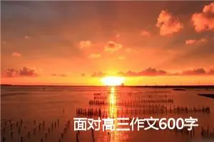 面对高三作文600字(精选5篇)