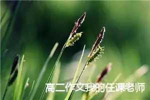 高二作文我的任课老师(精选5篇)