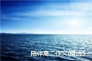陪伴高二作文(精选5篇)
