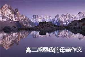 高二感恩我的母亲作文(精选5篇)