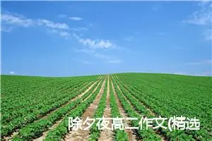 除夕夜高二作文(精选5篇)