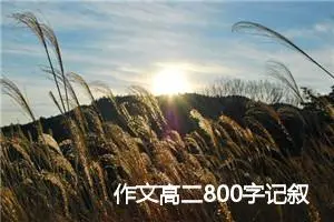 作文高二800字记叙文(精选5篇)