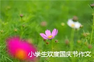 小学生欢度国庆节作文(精选10篇)