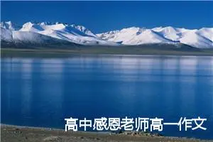 高中感恩老师高一作文511字(精选6篇)