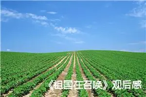 《祖国在召唤》观后感_观看纪录片《祖国在召唤》有感800字