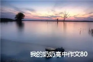 我的奶奶高中作文800字