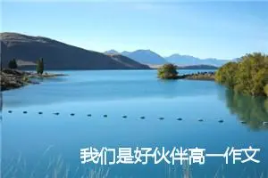 我们是好伙伴高一作文(精选5篇)